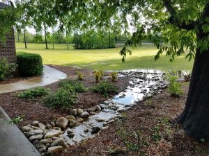 Milledgeville, GA Lawn Care